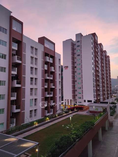 Shared Room for Male In 2 BHK  In Kohnoor Tincel Counting In Hinjewadi
