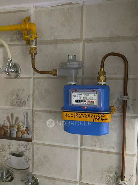 PG for Anyone in Krishna Nagar