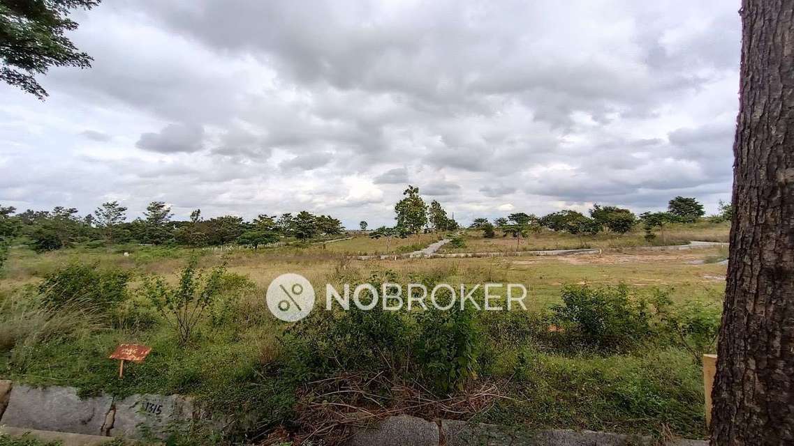 Plot For Sale  In Tangled Up In Green In Devanahalli