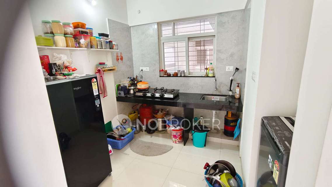 1 BHK Flat In Lizmo for Rent  In Hinjewadi