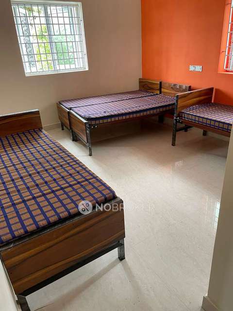 PG for Boys in Tharamani