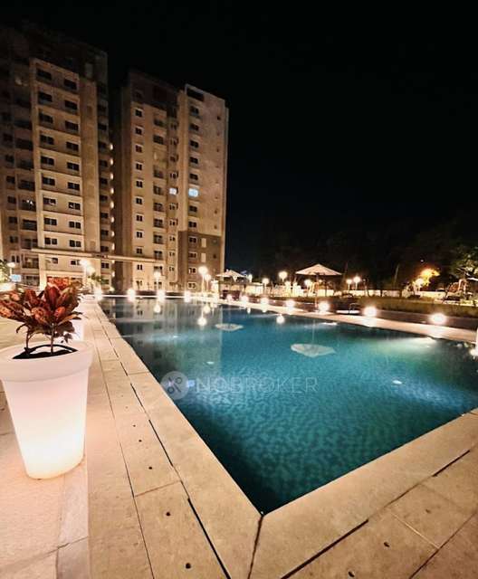 1 BHK Flat In Pwt for Rent  In Prestige Willow Tree