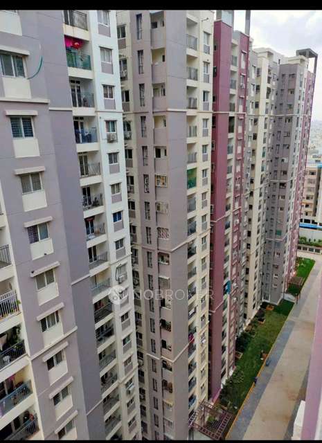 Single Room for Female In 3 BHK  In Prajay Megapolis In Kukatpally