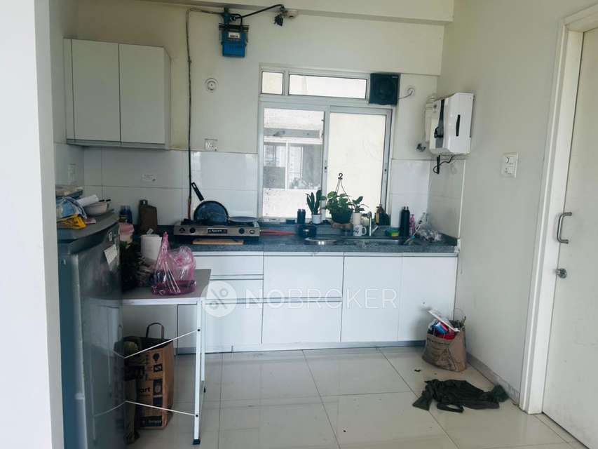 2 BHK Flat In Godrej 24, Hinjawadi for Rent  In Hinjawadi