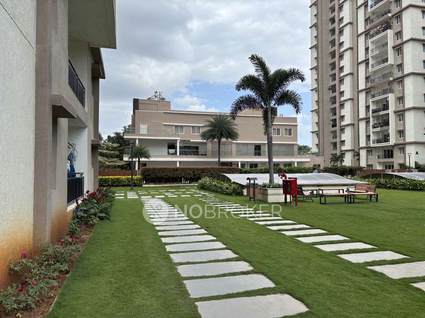 3 BHK Flat In Movie Towers for Rent  In  Kokapet