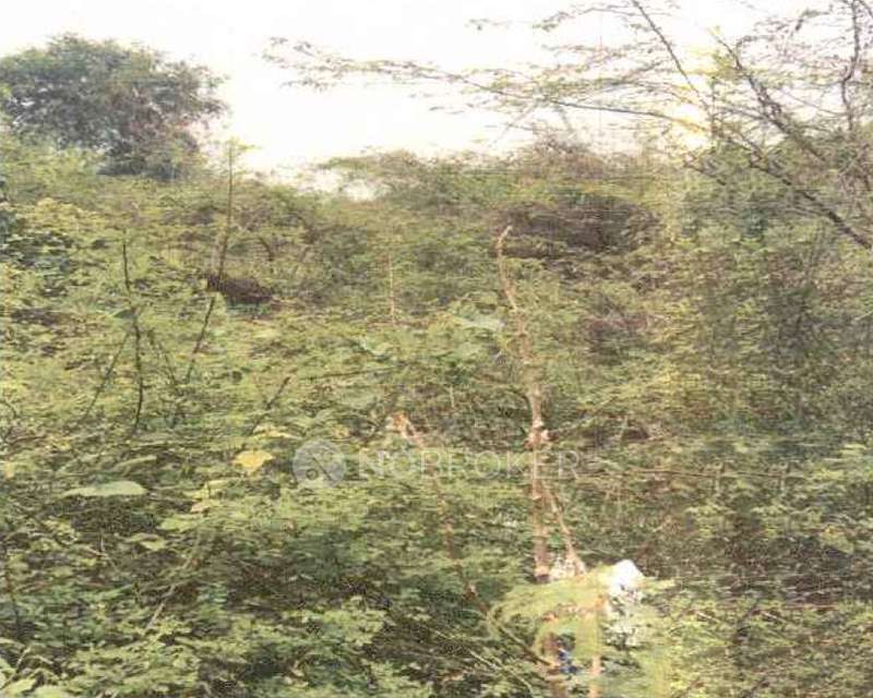 Plot For Sale  In Thandalam Road