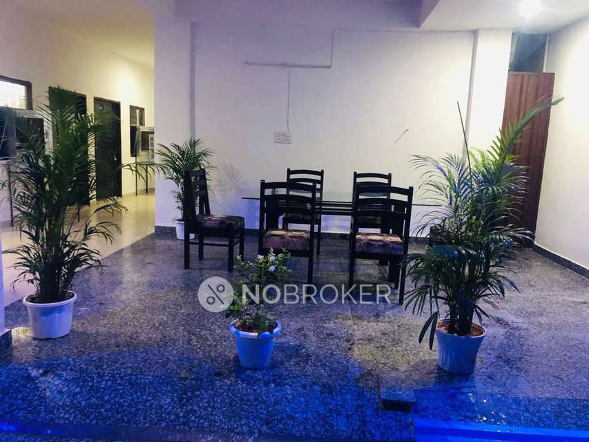 PG for Anyone in Sector 20