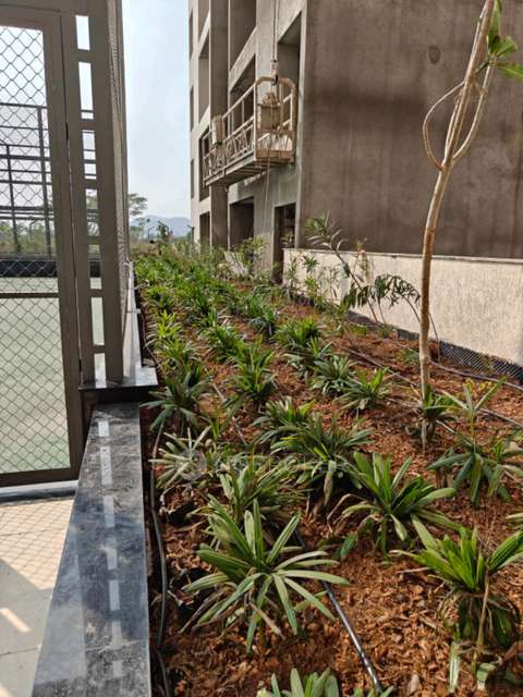 3 BHK Flat In Kohinoor Sportsville  for Rent  In Bhoirwadi