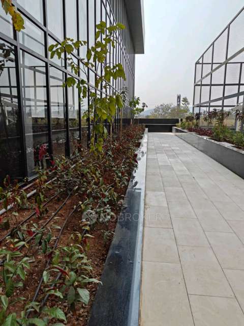 3 BHK Flat In Kohinoor Sportsville  for Rent  In Bhoirwadi