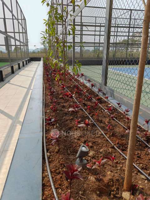 3 BHK Flat In Kohinoor Sportsville  for Rent  In Bhoirwadi