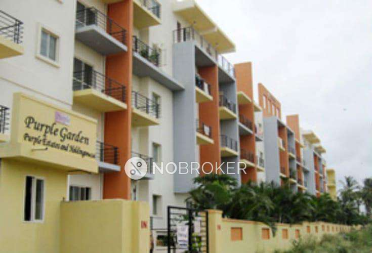 3 BHK Flat In Purple Garden Apartments For Sale  In Sampigehalli