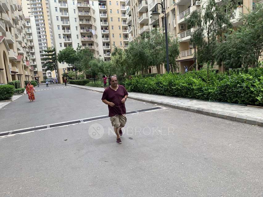 4 BHK Flat In Emaar Palm Hills, Sector 77 For Sale  In Sector 77