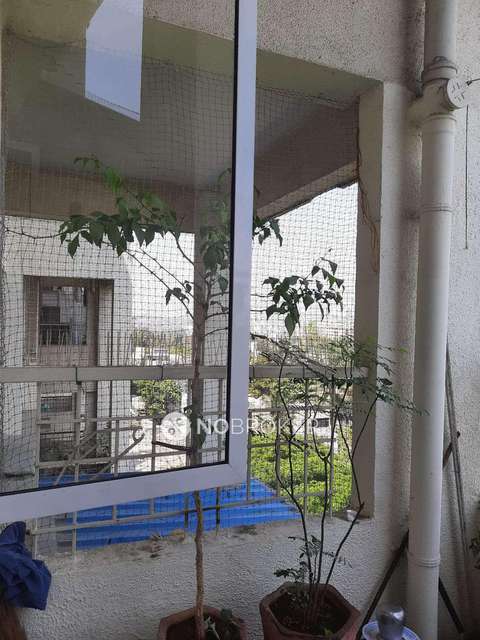 2 BHK Flat In Amrut Ganga for Rent  In Amrut Ganga Chs