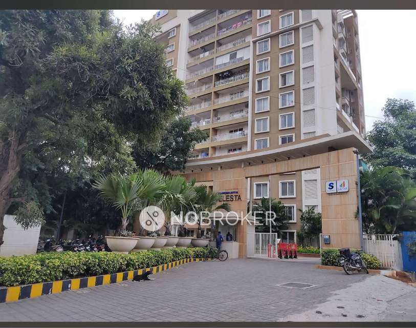 2 BHK Flat In Salarpuria Celesta for Rent  In Near To Fantasy Park, Old Madras Road