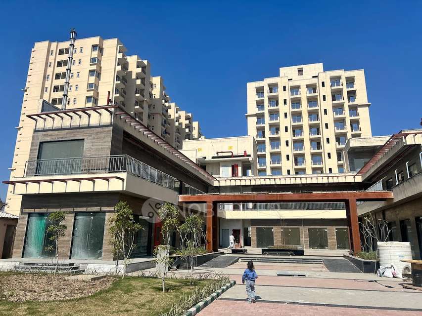 2 BHK Flat In Orchid Evenue For Sale  In Sector 91