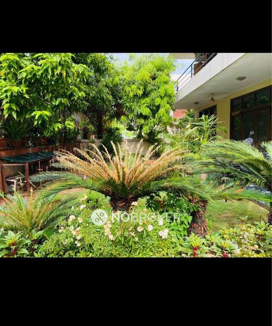 4+ BHK House For Sale  In Palam Vihar