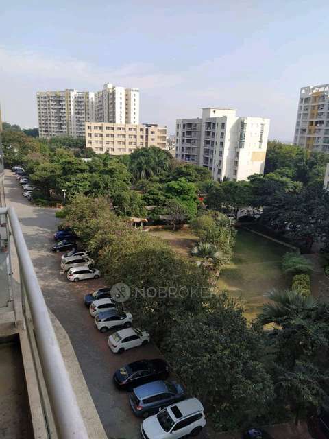 2 BHK Flat In Konark Exotica for Rent  In Wagholi