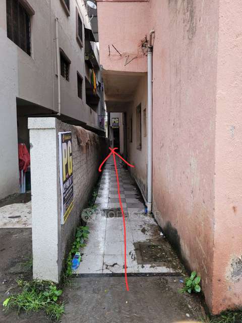 PG for Anyone in Chandan Nagar