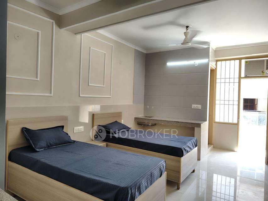 PG for Anyone in Palam