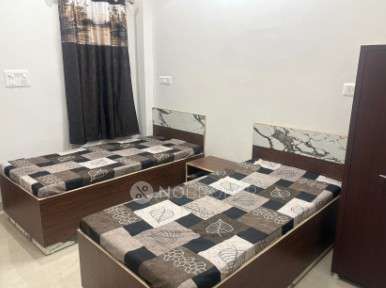 PG for Anyone in Sector 18