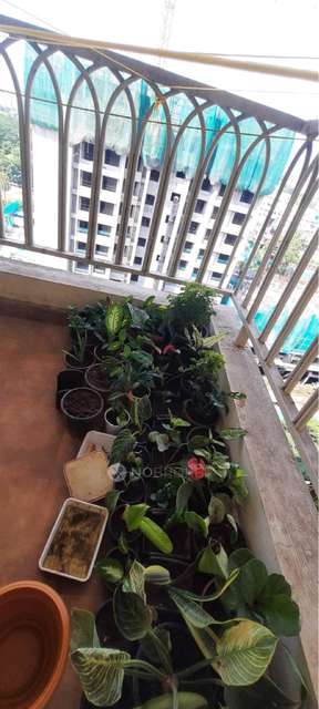 Shared Room for Male In 2 BHK  In Atul Western Hills Phase Ii In Baner