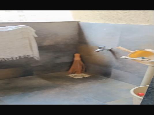 2 BHK Flat In  Tierra Viva for Rent  In Baner