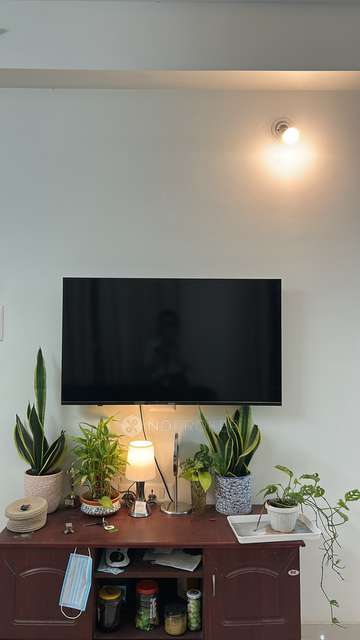 Single Room for Female In 2 BHK  In Pride Purple Park Connect In Hinjawadi