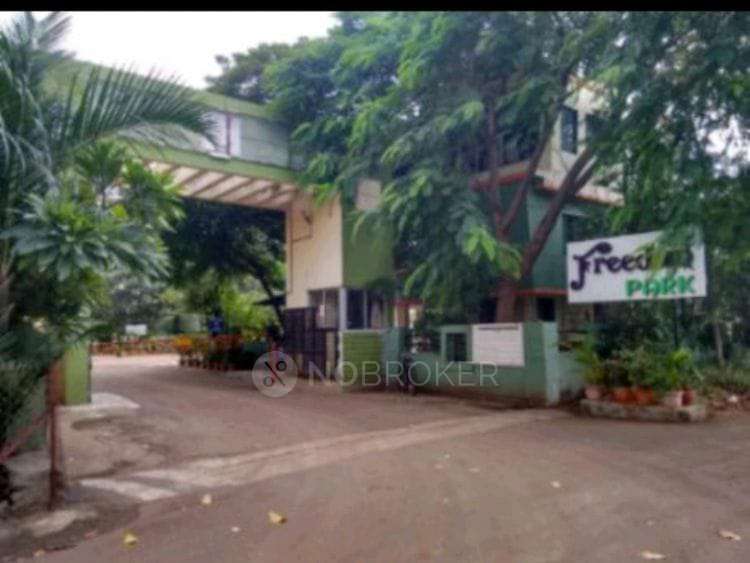 1 BHK Flat In Freedom Park Society for Rent  In Pimple Nilakh