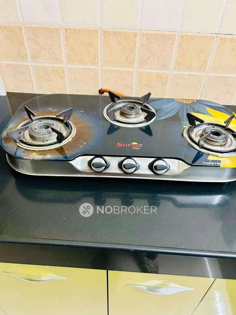 2 BHK Flat In Rohan Silver Gardenia for Rent  In Ravet