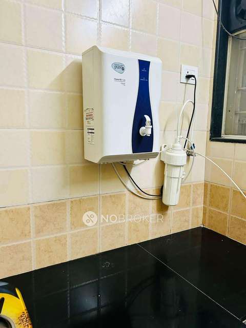 2 BHK Flat In Rohan Silver Gardenia for Rent  In Ravet