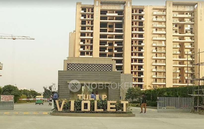 3 BHK Flat In Tulip Voilet For Sale  In Sector 69