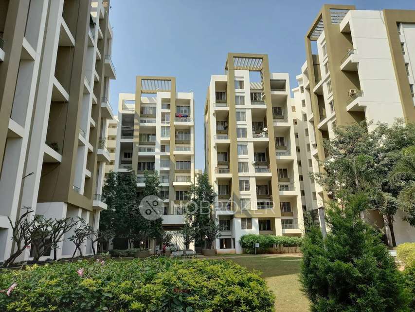 Single Room for Male In 3 BHK  In Rohan Tarang Co-operative Housing Society In Wakad