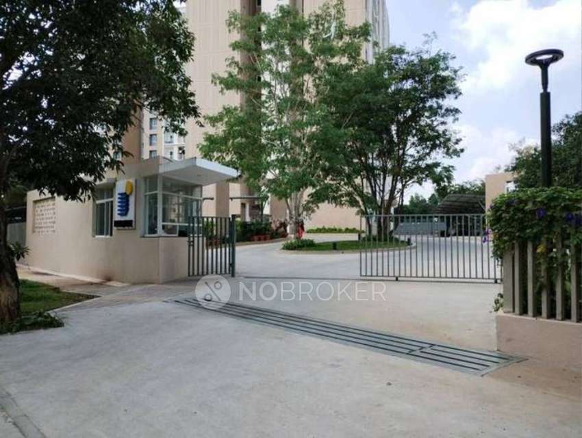 2 BHK Flat In Kino At Brigade Orchards,  Bychapura For Sale  In  Bychapura
