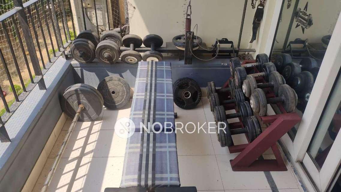 3 BHK Flat In Jmd Garden For Sale  In Sector 33