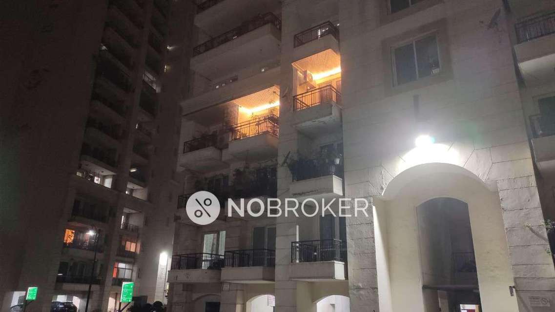 3 BHK Flat In Jmd Garden For Sale  In Sector 33