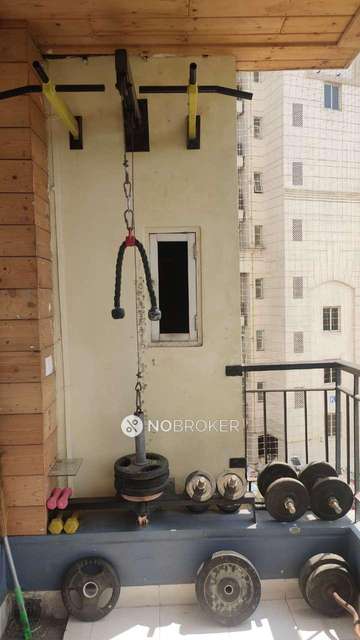 3 BHK Flat In Jmd Garden For Sale  In Sector 33