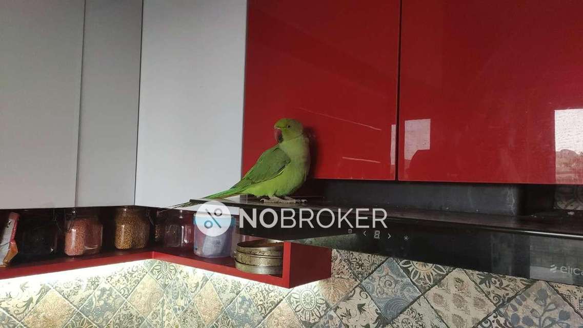 3 BHK Flat In Jmd Garden For Sale  In Sector 33