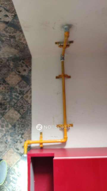 3 BHK Flat In Jmd Garden For Sale  In Sector 33