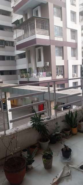 Single Room for Female In 3 BHK  In Greenland Society, Pimpri-chinchwad In Pimpri-chinchwad