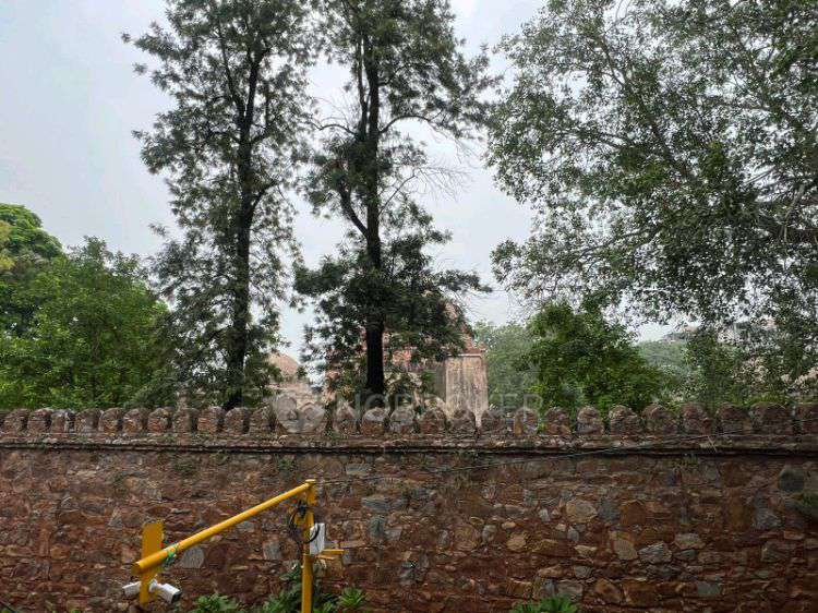 2 BHK Flat In Rwa Hauz Khas for Rent  In Hauz Khas