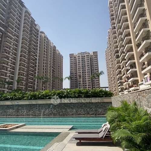 3 BHK Flat In Ace Devino For Sale  In Sector 1