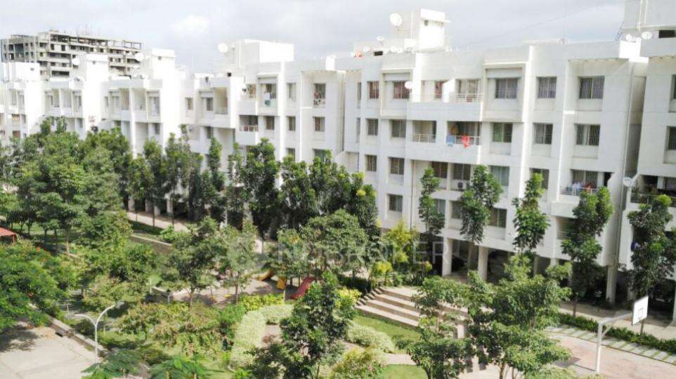 1 BHK Flat In Apartment for Rent  In Hinjewadi