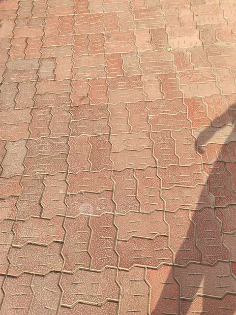 3 BHK Flat In Gk Silverland Residency for Rent  In Ravet