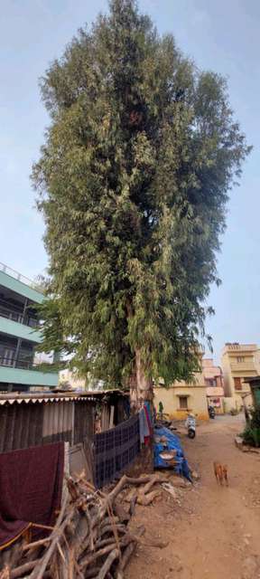 Plot For Sale  In 3hx8+3qr, Yelahanka Rd, Attur Layout, Yelahanka New Town, Bengaluru, Karnataka 560064, India