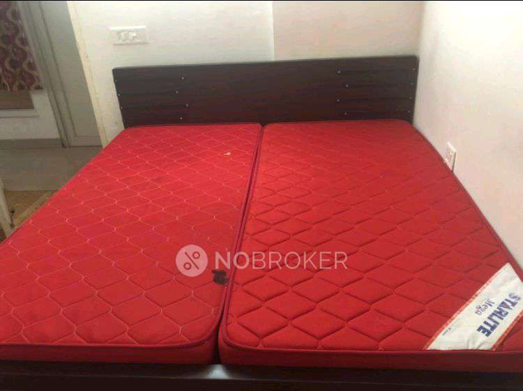 2 BHK Flat In Tulip Lemon for Rent  In Sector 69