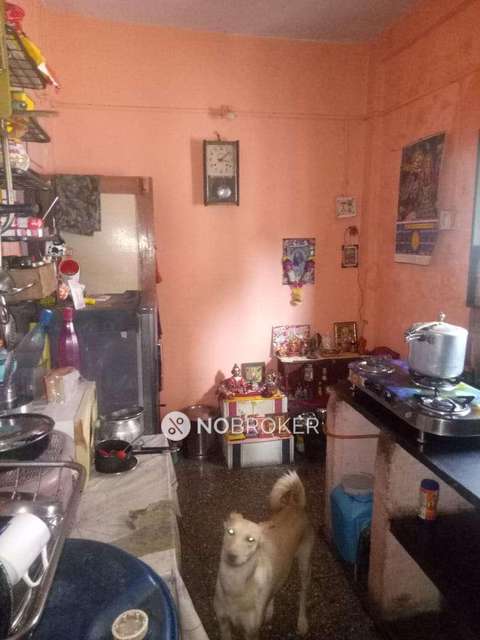 1 BHK House for Rent  In Wadgaon Sheri