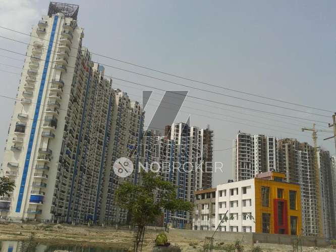 4 BHK Flat In Amrapali Platinum for Rent  In Sector-119