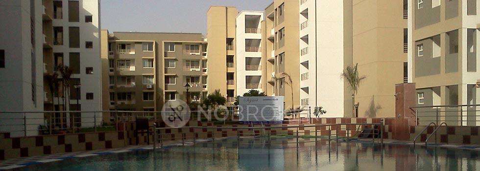 3 BHK Flat In Sigma Apartments for Rent  In Beta I