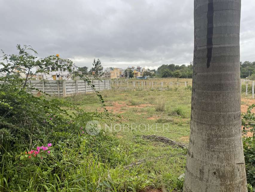 Plot For Sale  In Rich City In Bhavikere