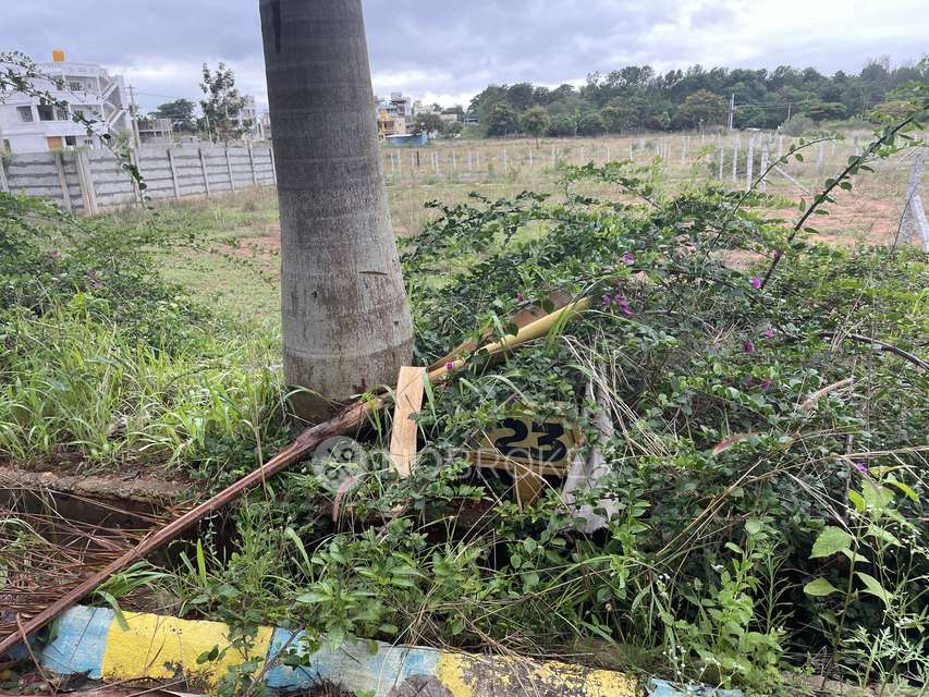 Plot For Sale  In Rich City In Bhavikere